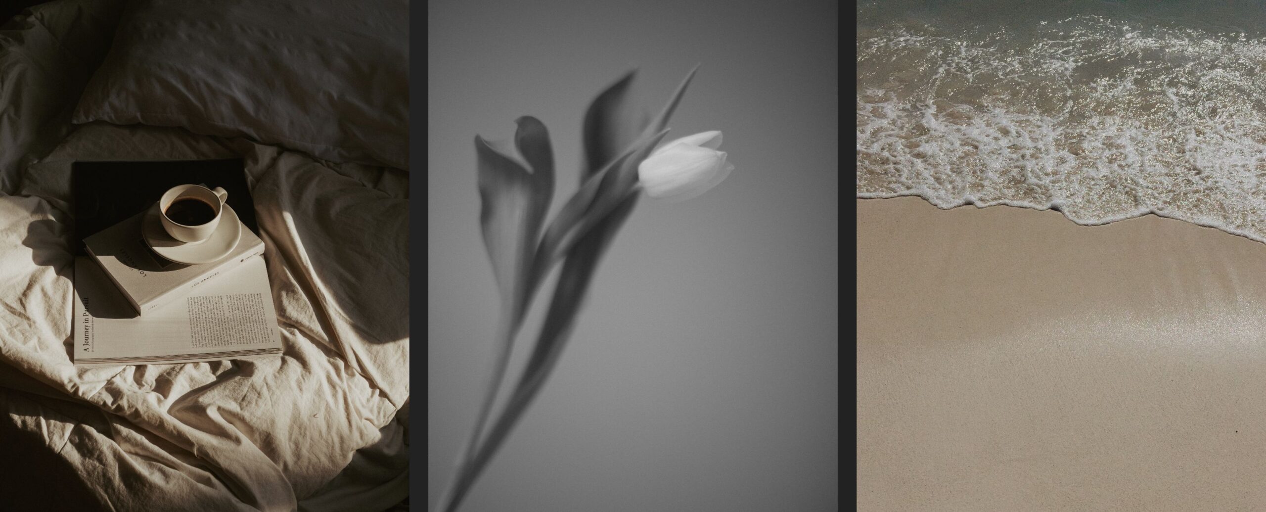 9 gratis stockbilleder til din branding – KANT designstudie /Katarina